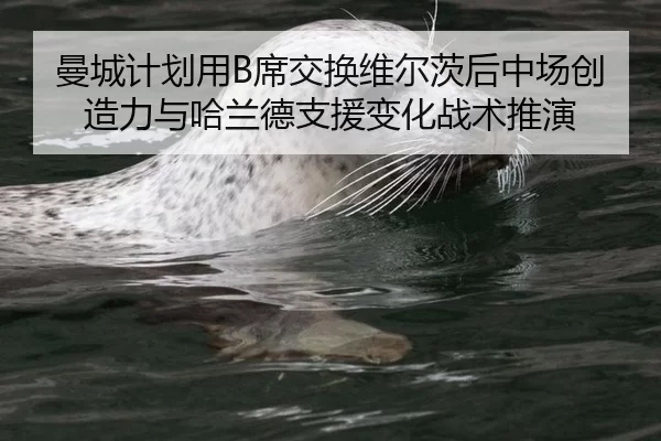 曼城计划用B席交换维尔茨后中场创造力与哈兰德支援变化战术推演
